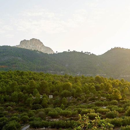 Casa Rural La Canal De Salem Dış mekan fotoğraf