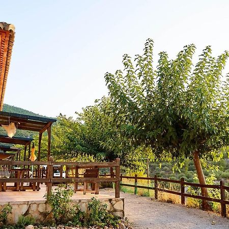 Casa Rural La Canal De Salem Dış mekan fotoğraf