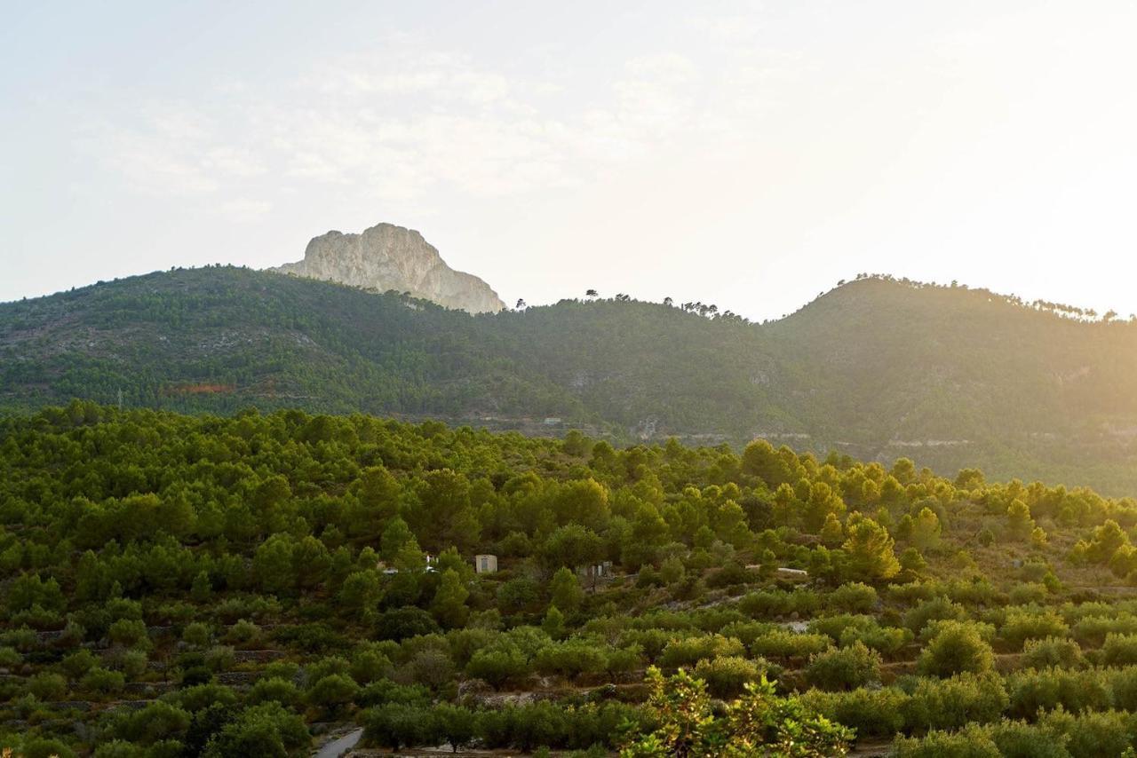 Casa Rural La Canal De Salem Dış mekan fotoğraf