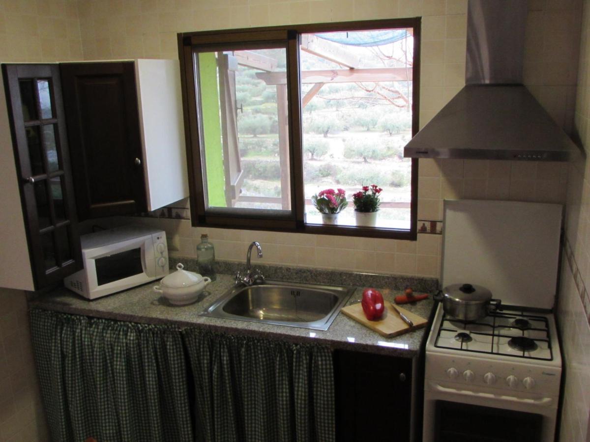 Casa Rural La Canal De Salem Dış mekan fotoğraf